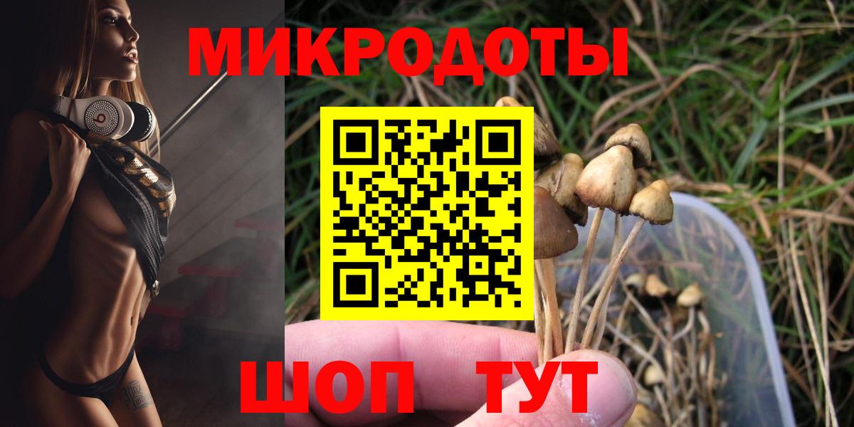 Калуга  Псилоцибиновые грибы Cubensis  Вход с VPN 